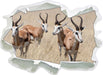 Antilopen in Savanne Afrika  3D Wandtattoo Papier