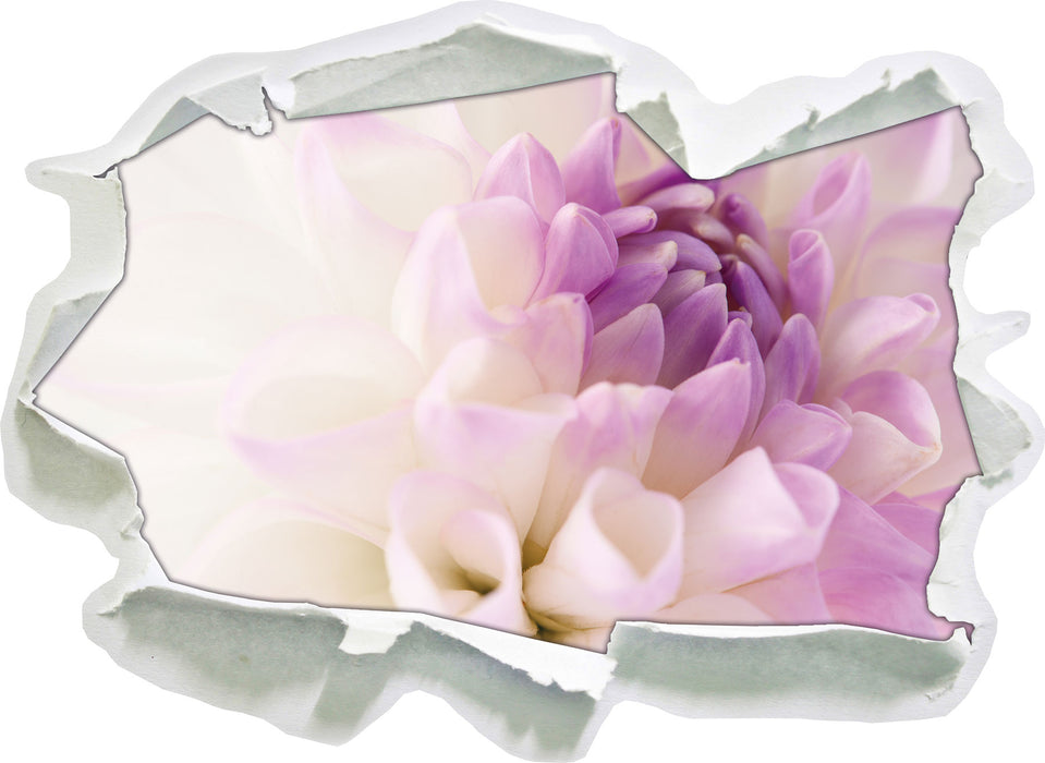 Traumhafte lila weiße Blüte 3D Wandtattoo Papier