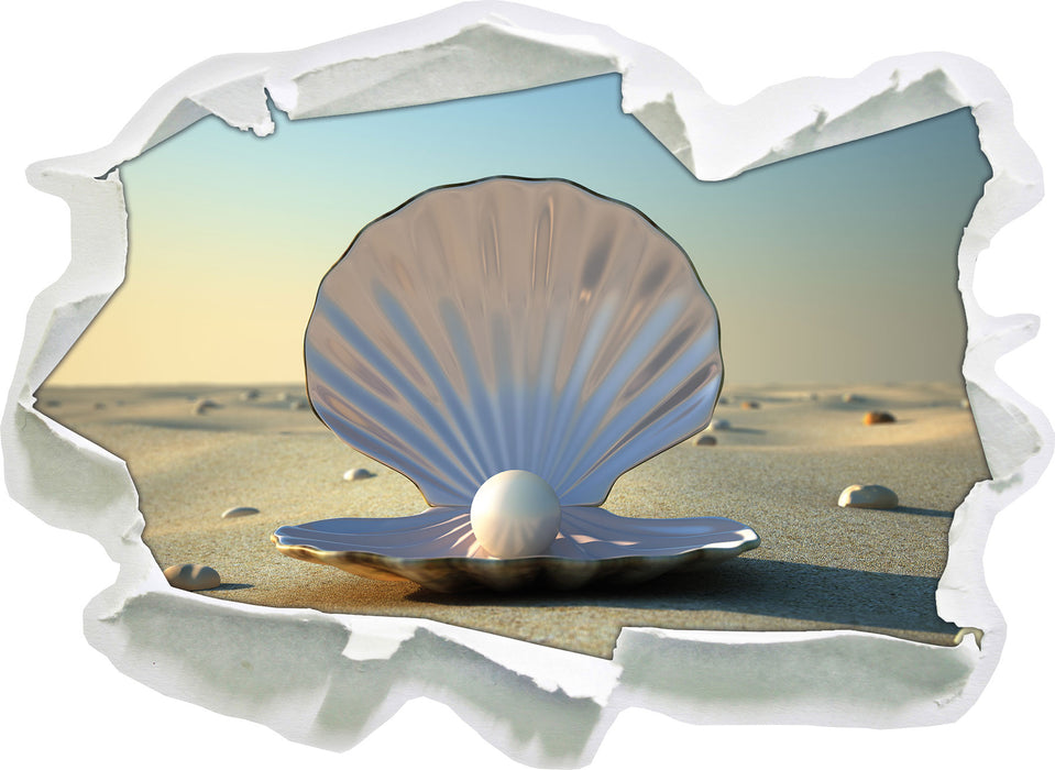 Perlenmuschel am Strand  3D Wandtattoo Papier