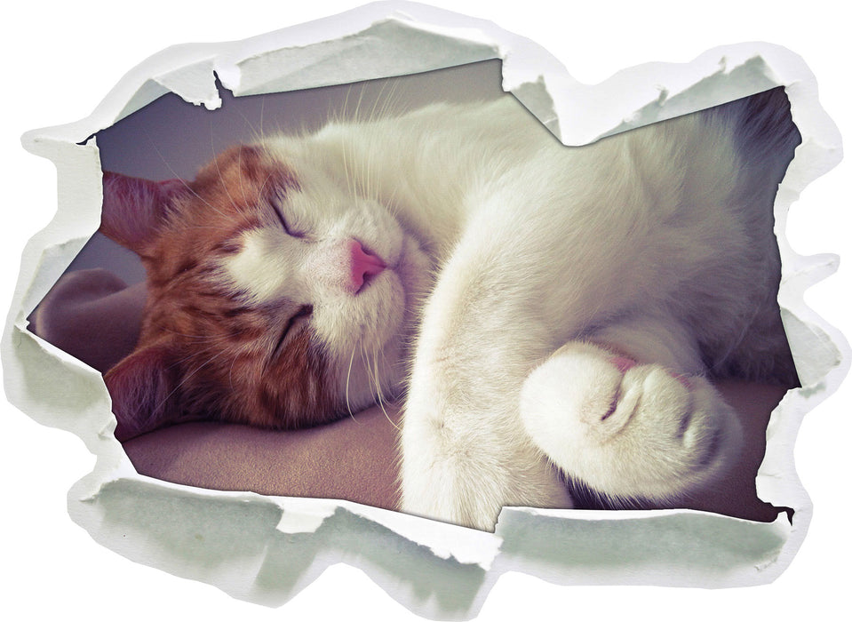 Katze mit Pfötchen  3D Wandtattoo Papier