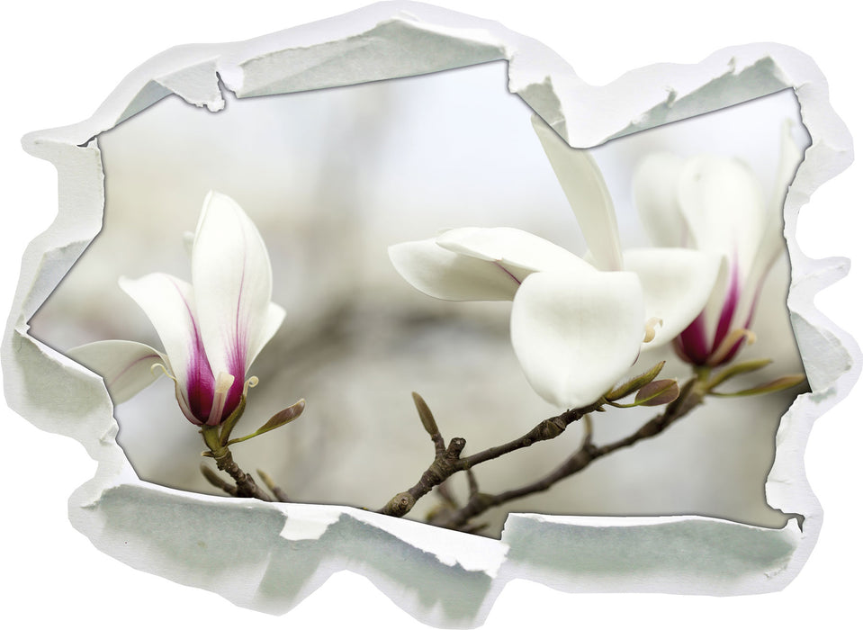 Weiße Baumblüten  3D Wandtattoo Papier