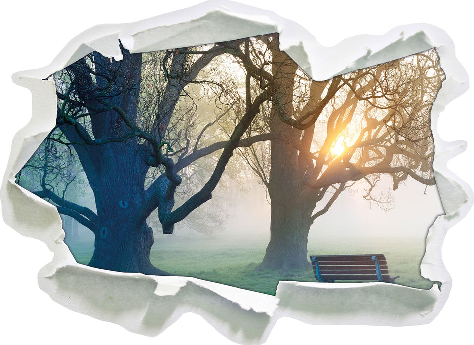 Baum und Bank im Nebel  3D Wandtattoo Papier