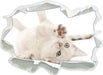 Kleine Katze  3D Wandtattoo Papier