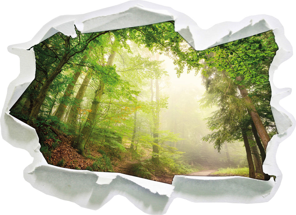 Pixxprint Sonnenstrahlen Waldweg, 3D Wandtattoo