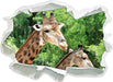 Giraffen  3D Wandtattoo Papier