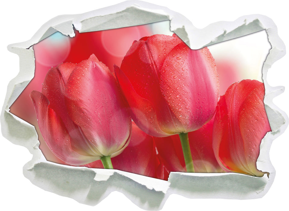 Rote Tulpen 3D Wandtattoo Papier