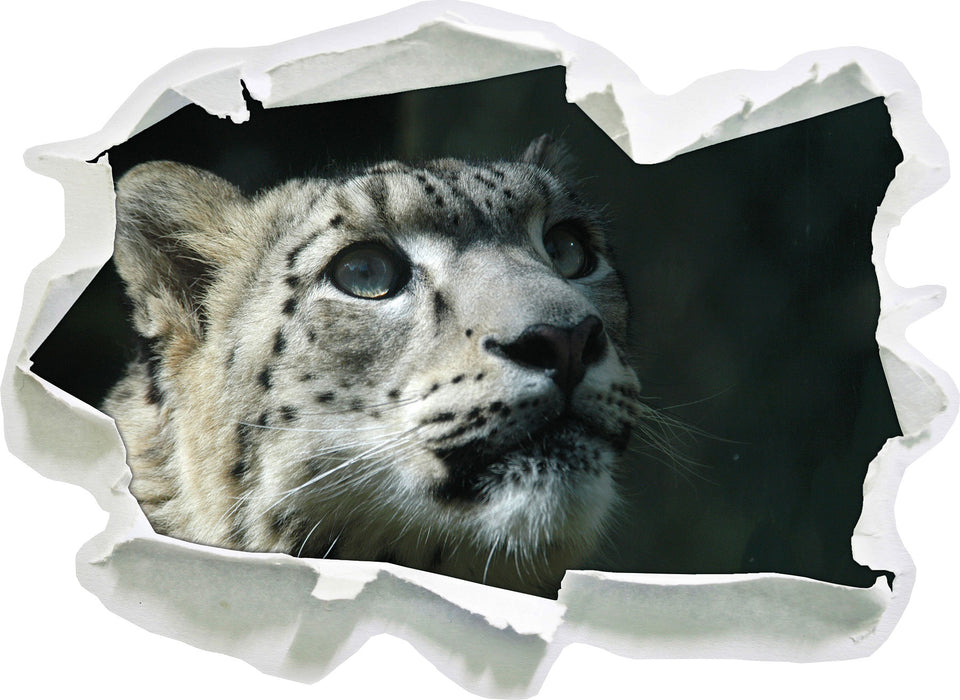 Leopard  3D Wandtattoo Papier