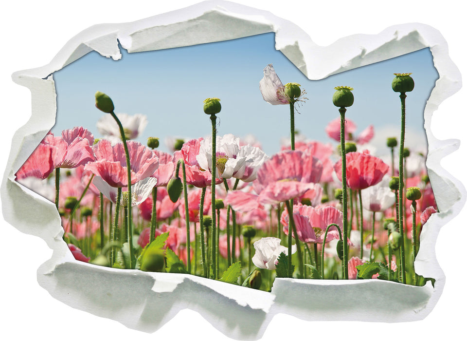 Blumenwiese Mohnblumen  3D Wandtattoo Papier