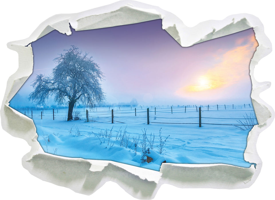 Baum in Winterlandschaft  3D Wandtattoo Papier