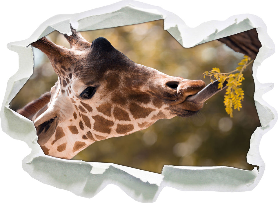 Giraffe Gesicht  3D Wandtattoo Papier