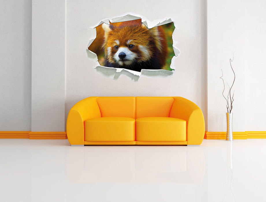 Roter Pandabär auf Ast 3D Wandtattoo Papier Wand