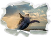 Buckelwale Kanada  3D Wandtattoo Papier