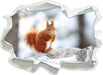 Eichhörnchen im Schnee  3D Wandtattoo Papier
