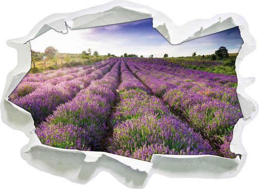 Lavendelfeld Provence 3D Wandtattoo Papier