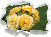 Weiß gelbe Rose Blumen  3D Wandtattoo Papier