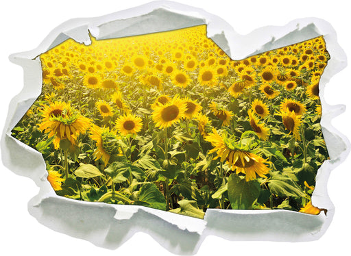 Riesiges Sonnenblumenfeld 3D Wandtattoo Papier