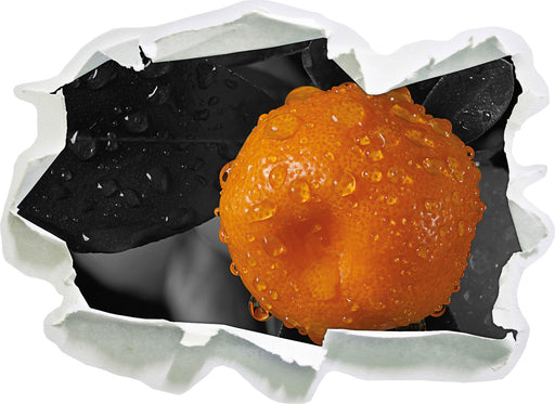 Orange mit Wassertropfen 3D Wandtattoo Papier
