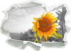 Nahaufnahme einer Sonnenblume 3D Wandtattoo Papier