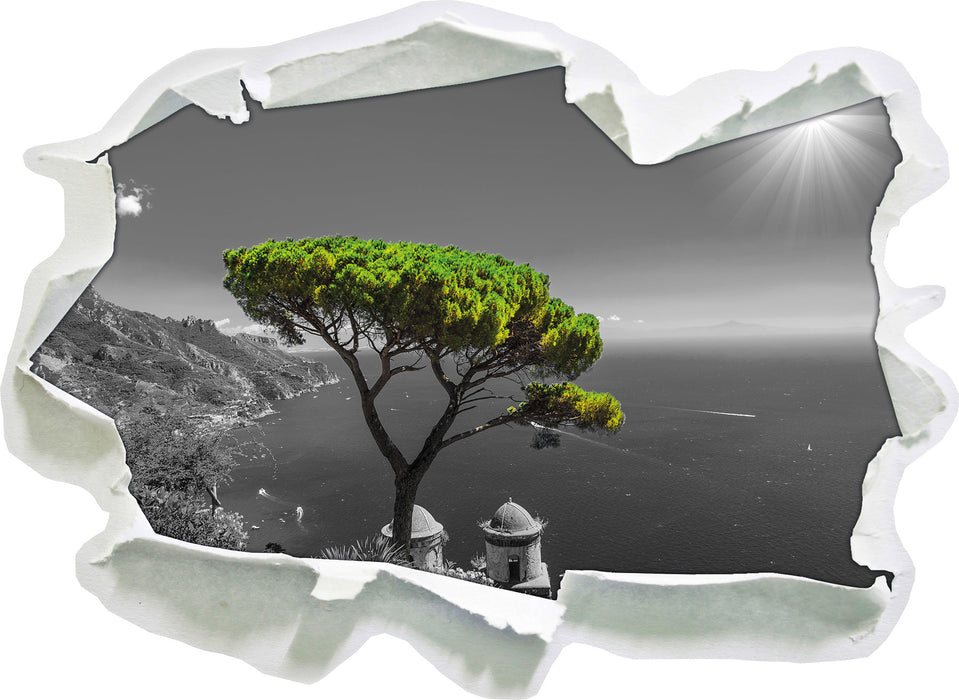 Baum am Mittelmeer 3D Wandtattoo Papier
