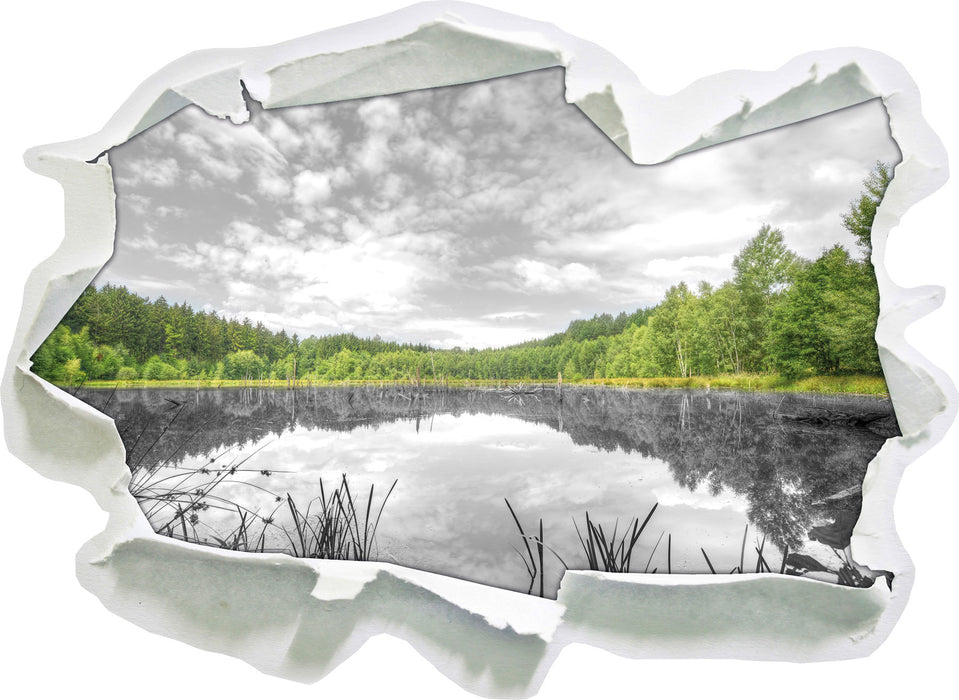 traumhafter See in grünem Wald 3D Wandtattoo Papier