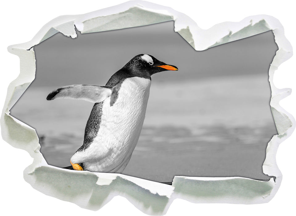 watschelnder Pinguin am Strand 3D Wandtattoo Papier