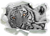 entspannter Tiger 3D Wandtattoo Papier