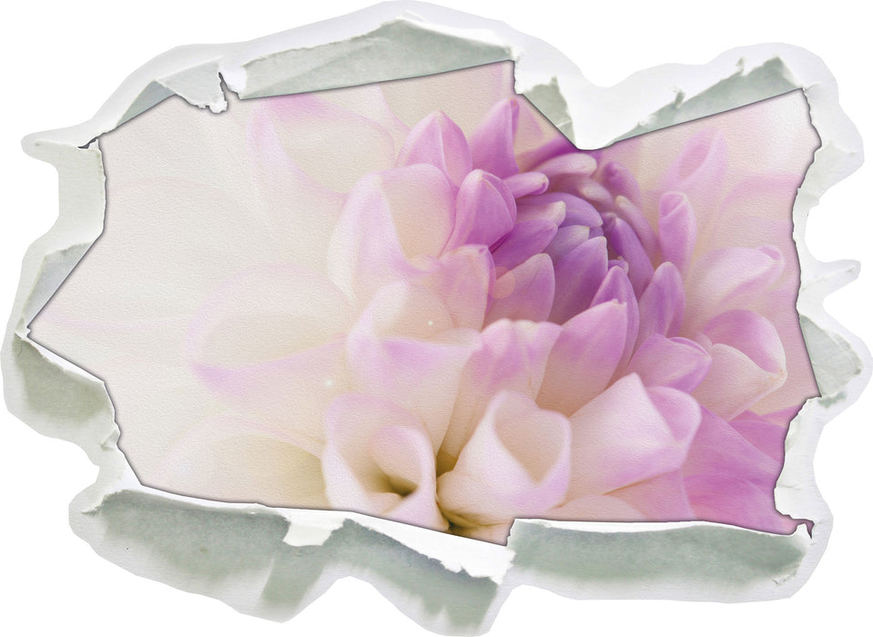 Blüte mit lila Blütenblätter 3D Wandtattoo Papier