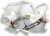 Magnolienblüten 3D Wandtattoo Papier