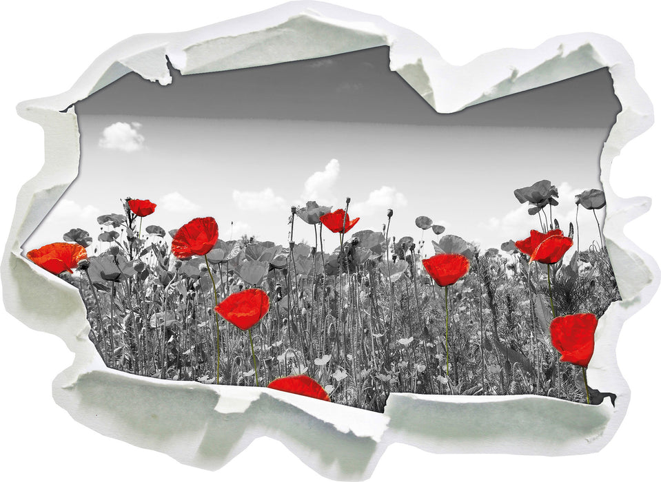 schöner rot leuchtender Mohn 3D Wandtattoo Papier