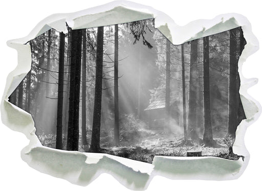 Häuschen im Wald 3D Wandtattoo Papier