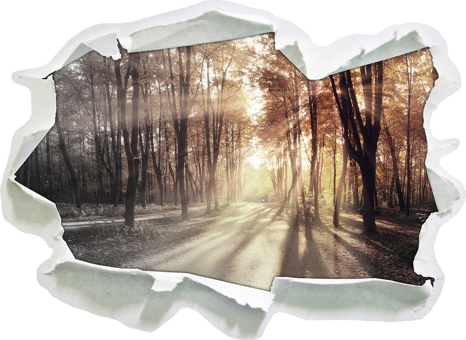 Pixxprint Allee im Herbstlicht, 3D Wandtattoo