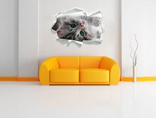 Süßes Katzenbaby 3D Wandtattoo Papier Wand