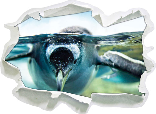 Pinguin im Wasser  3D Wandtattoo Papier