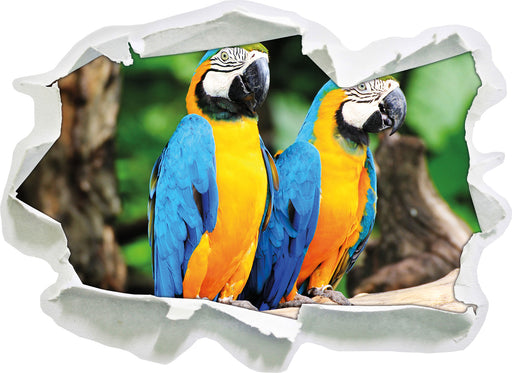 Zwei Papageien  3D Wandtattoo Papier