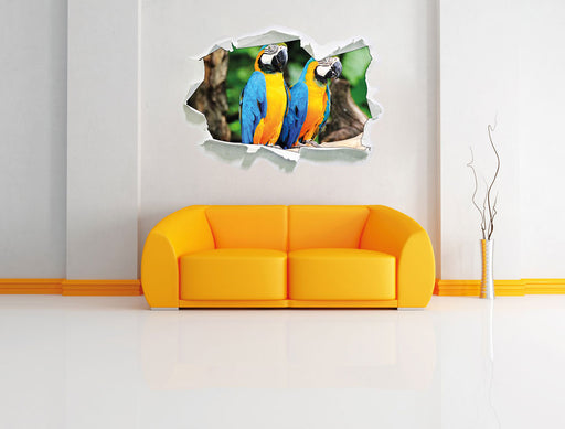 Zwei Papageien 3D Wandtattoo Papier Wand