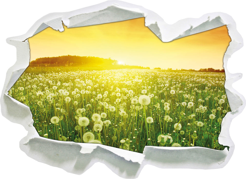 Pixxprint Pusteblumen Sonnenuntergang, 3D Wandtattoo
