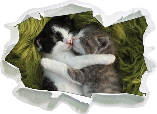 Zwei kuschelnde Kätzchen  3D Wandtattoo Papier