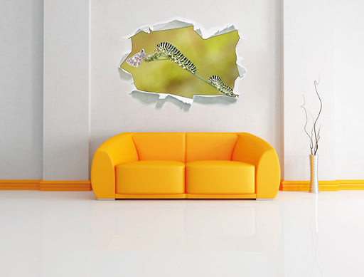 Schwalbenschwanzraupen und Falter 3D Wandtattoo Papier Wand