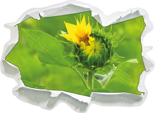 Aufblühende Sonnenblume  3D Wandtattoo Papier
