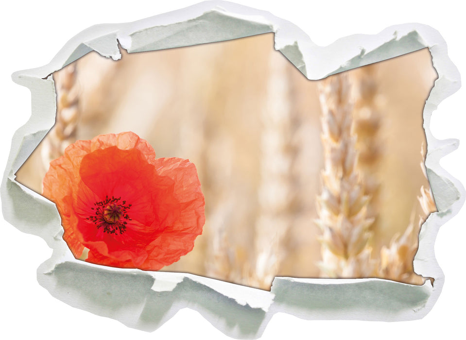 Pixxprint Mohnblume im Kornfeld, 3D Wandtattoo