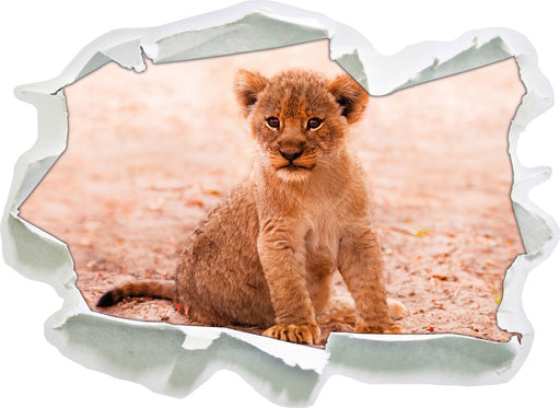 Verlassenes Löwenbaby  3D Wandtattoo Papier