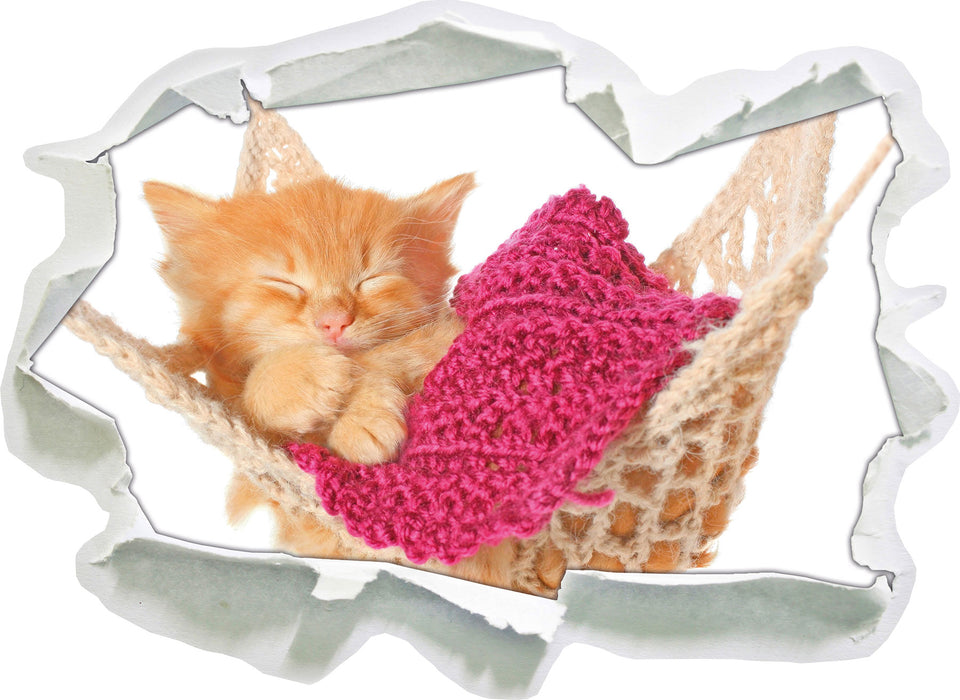 Pixxprint Katzenbaby in Hängematte, 3D Wandtattoo