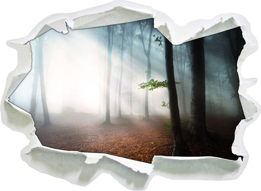 Düsterer Wald im Nebel  3D Wandtattoo Papier