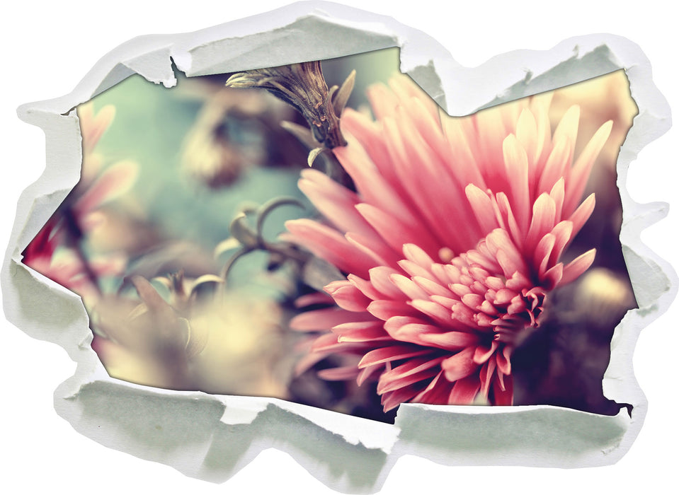 Pixxprint Romantische Blumen, 3D Wandtattoo