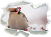 Kleiner Vogel im Schnee  3D Wandtattoo Papier