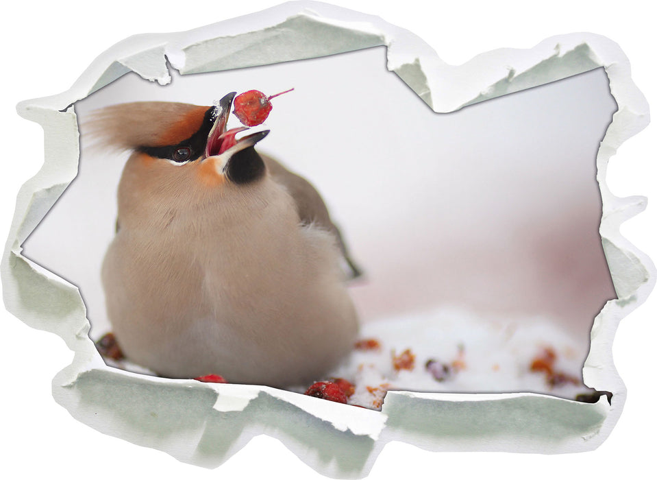 Kleiner Vogel im Schnee  3D Wandtattoo Papier