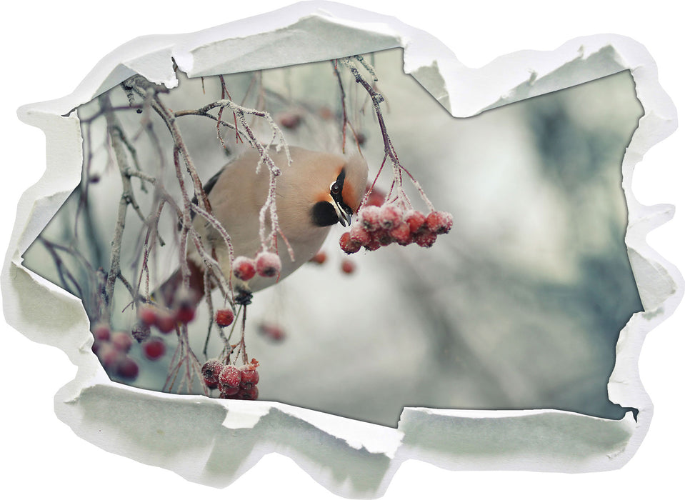 Pixxprint Kleiner Vogel im Vogelbeerbaum, 3D Wandtattoo