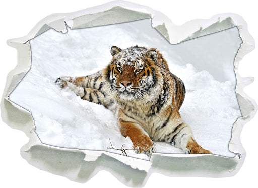 Amur Tiger im Schnee  3D Wandtattoo Papier