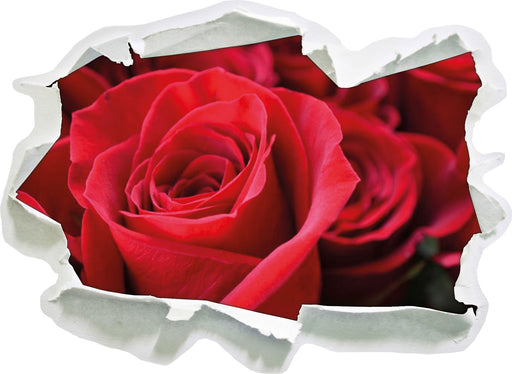 Romantische Rosen  3D Wandtattoo Papier