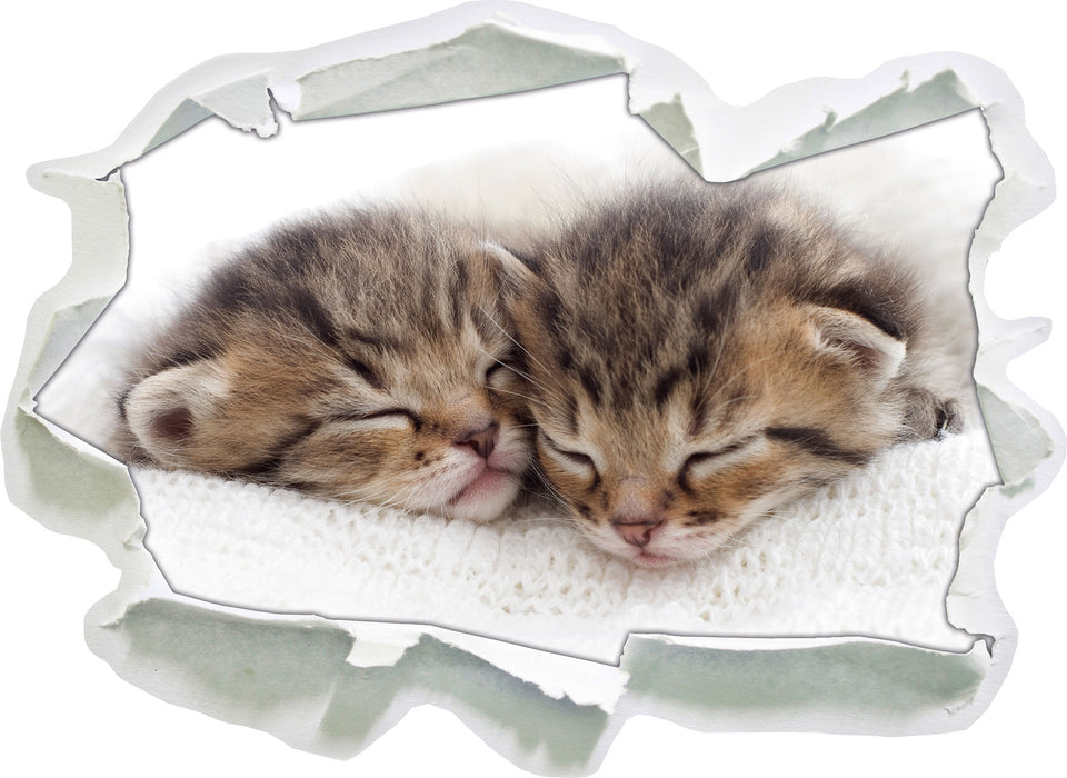 Pixxprint Schlummernde Kätzchen, 3D Wandtattoo